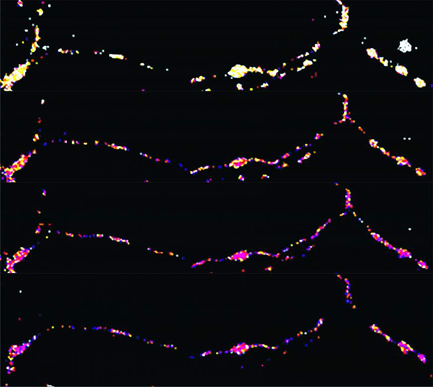 Scan of a neuron with different energy levels.