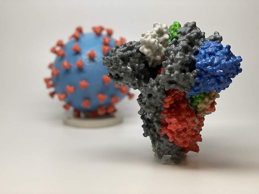 3D print of a spike protein of SARS-CoV-2