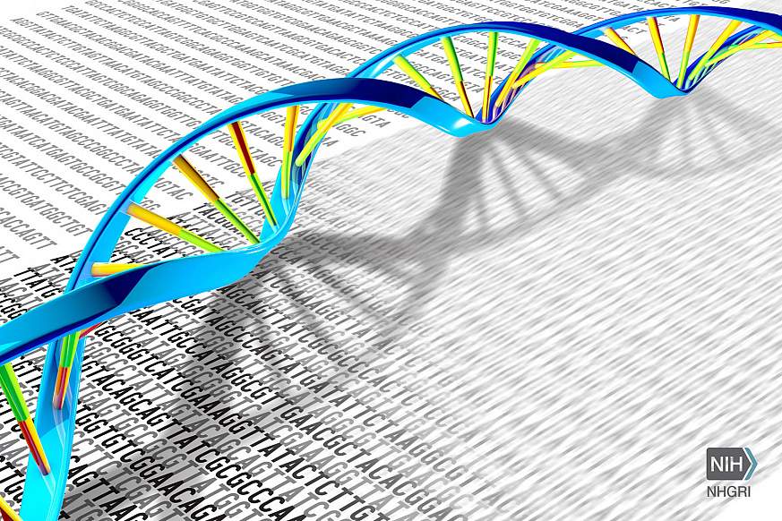 A DNA double helix rests on a print-out illustration of the DNA letters A, T, C and G.