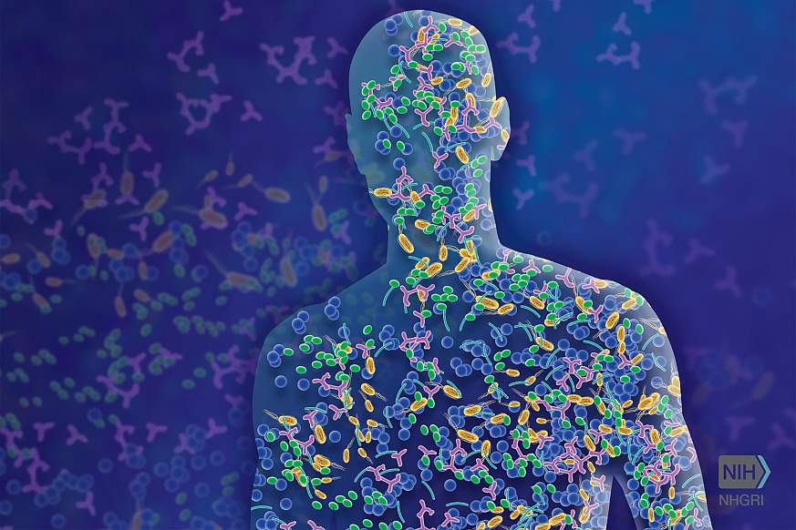 Illustration of the human microbiome