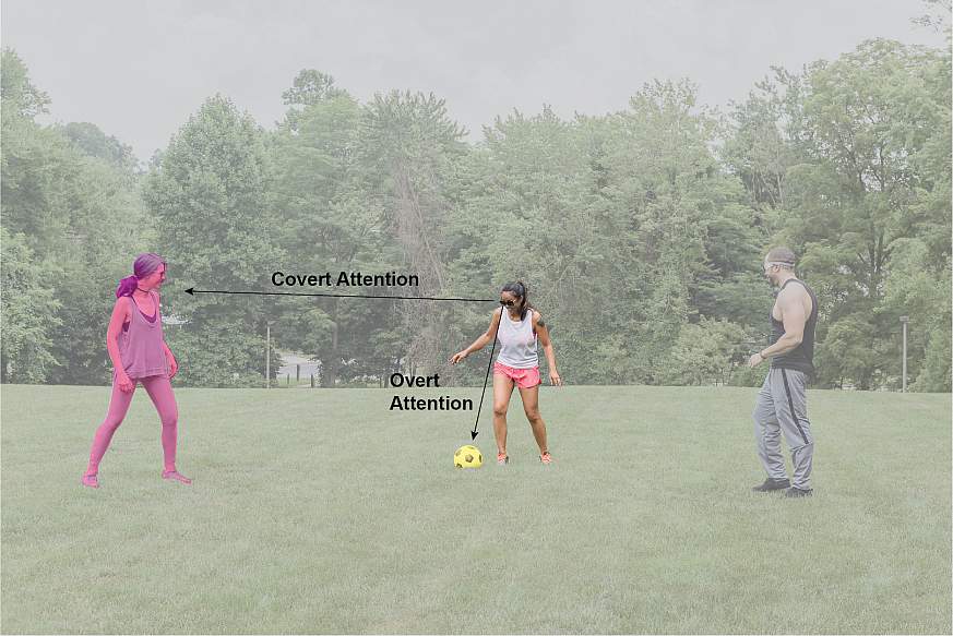 Image of soccer players on a field