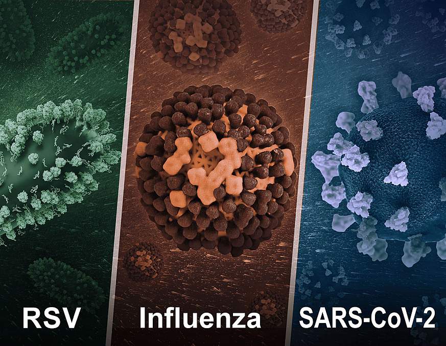 Three 3D images showing virus models