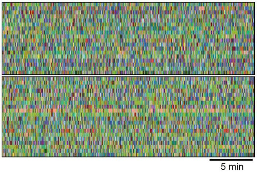 Image of two blocks of colored pixels.  