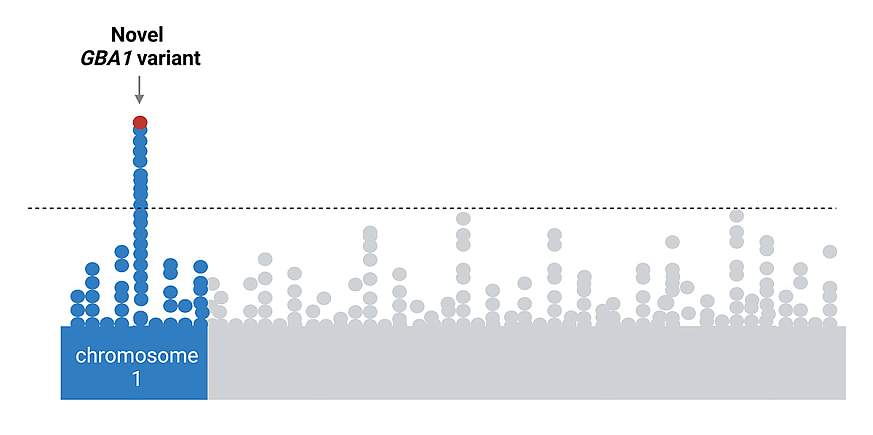 Image depicts a Manhattan plot of genetic data from a study on Parkinson’s disease. Dots represent location of genomic variants found in the study. Blue dots represent variants found on chromosome 1. Red dot on chromosome 1 represent the GBA1, the new Par