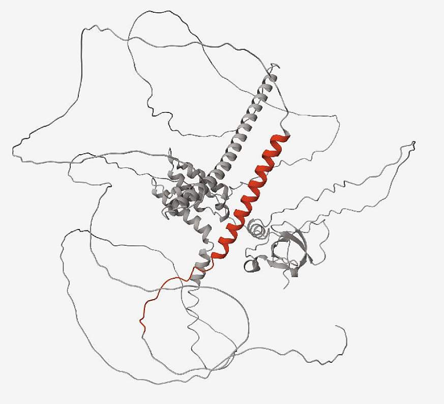 Digital illustration of a protein containing a cryptic peptide that results from a lack of functional TDP-43