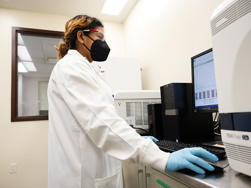 Image of a student researcher working at computer