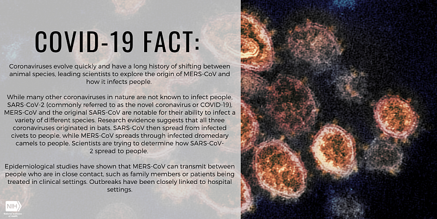 COVID-19 Fact: coronaviruses evolve quickly