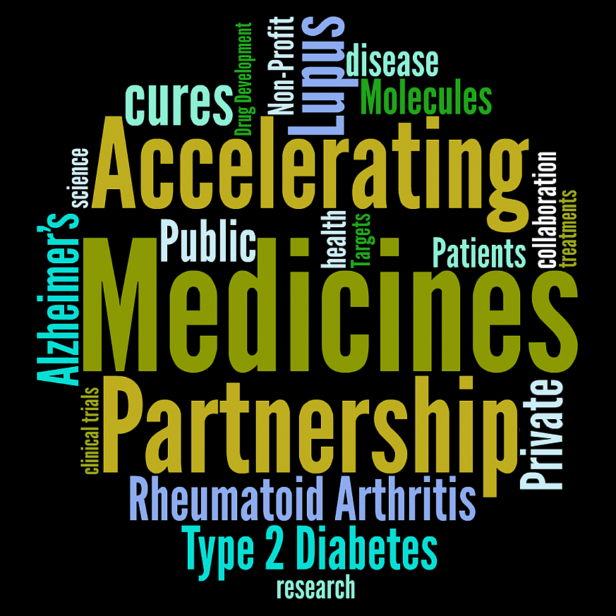 Tag cloud of terms related to the Accelerating Medicines Partnership