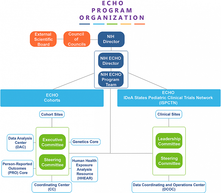 ECHO Program Organizational Chart