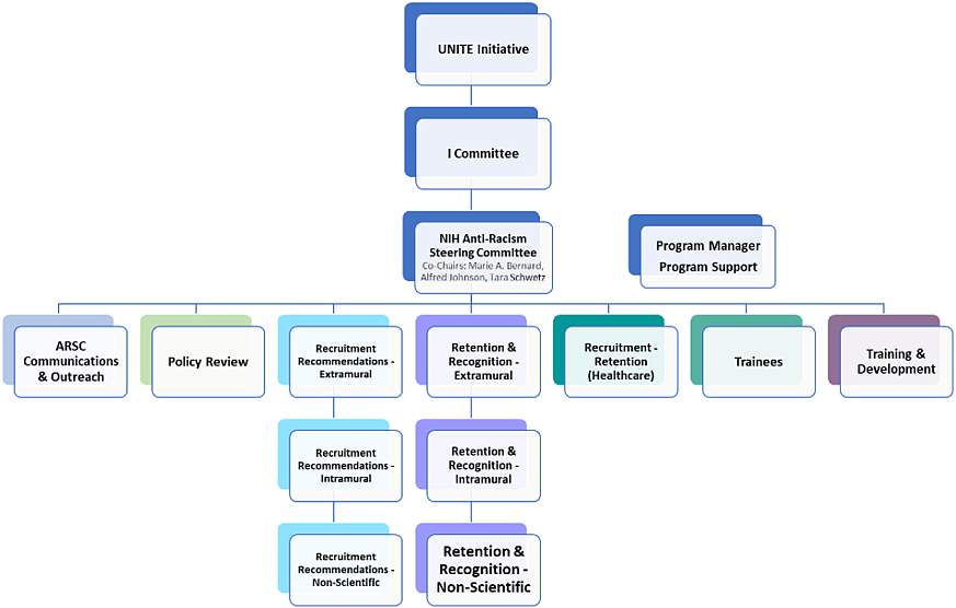 Organizational chart showing that the NIH Anti-Racism Steering Committee falls under the I Committee, which is under the UNITE Initiative, and showing the 11 programs and initiatives that fall under the NIH Anti-Racism Steering Committee.