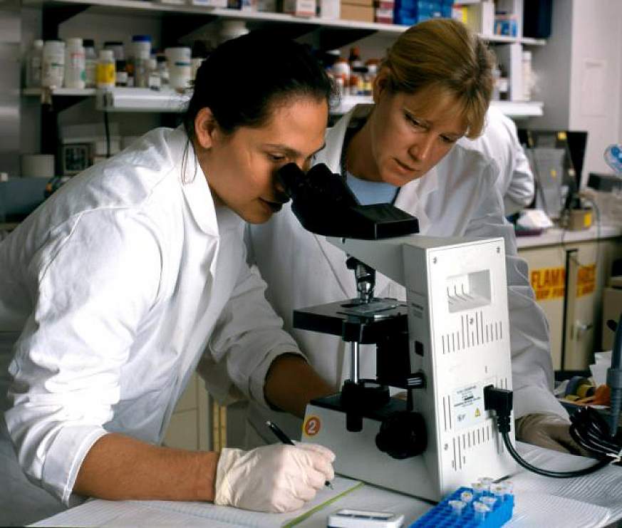 NIAID scientists studying the human immune response to HIV.
