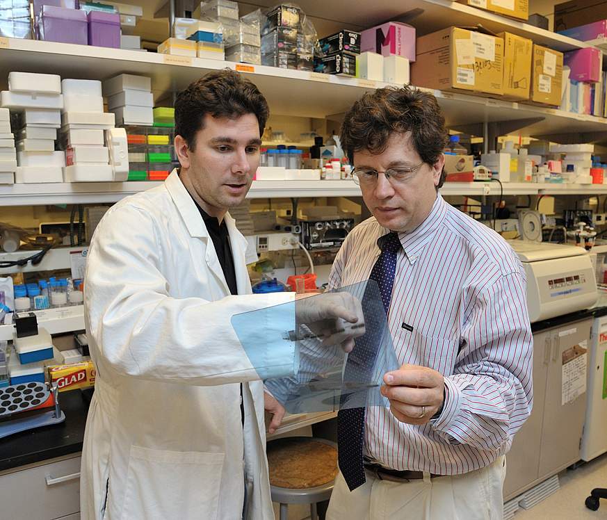 Richard Siegel, M.D., Ph.D., (right) NIAMS Clinical Director and Chief of the Autoimmunity Branch, discusses research results with postdoctoral fellow Martin Pelletier, Ph.D.