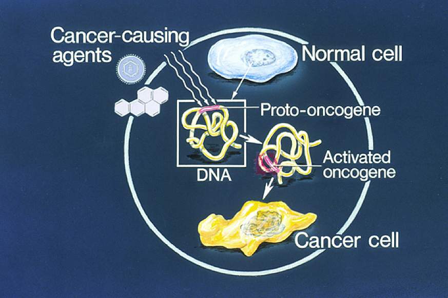 Diagram showing how genetic changes cause normal cells to become cancerous.