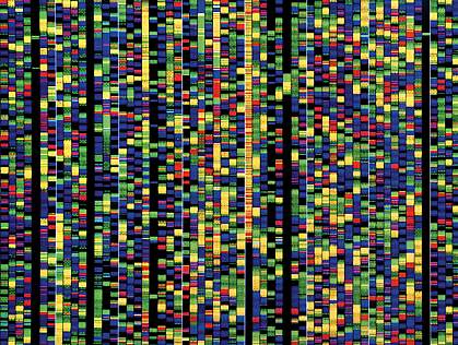 These colored bands on a computer screen represent the various building blocks of DNA that make up just a small portion of the human genome.