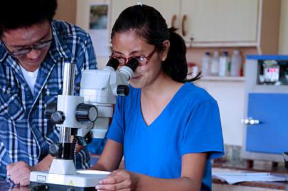 Researcher working with a microscope