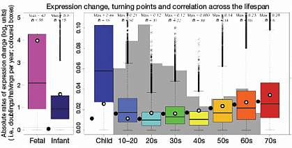 genetic expression change across lifetime.