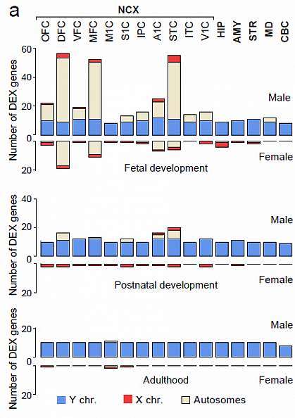 Sex-biased gene expression.