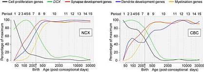 Expression data trajectories.