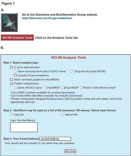 Screen shot from the CellMiner software.