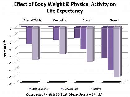 Obesity Life Expectancy Chart