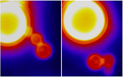 Scientists use artificial membrane to understand how dynamin works.