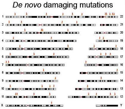 Image of genomic mutations in people with schizophrenia
