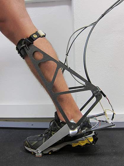 Image of the ankle interface