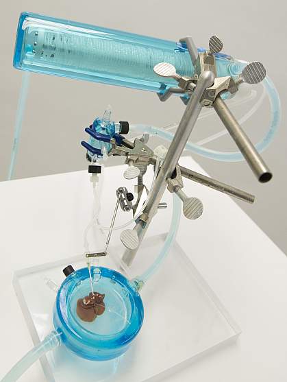 Supercooling preservation of liver tissue.
