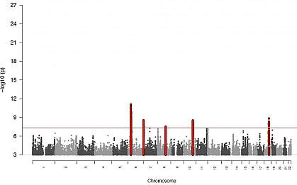 Graph plotting genetic variation in 2011