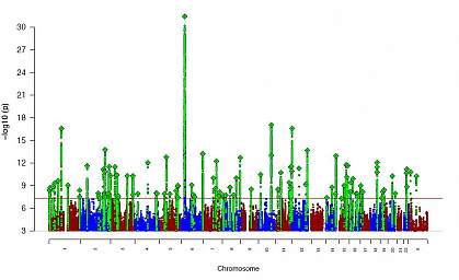Graph plotting genetic variation in 2014