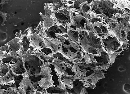Picture of silk scaffold close up