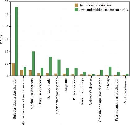 Chart shows comparison of disability associated life years (DALYs) between high-income and low- and middle-income countries. 