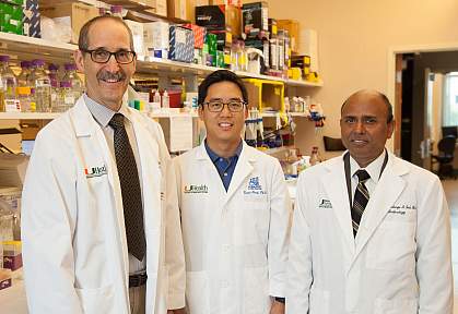 Vance Lemmon, Ph.D., Kevin Park, Ph.D., and Sanjoy Bhattacharya, Ph.D.
