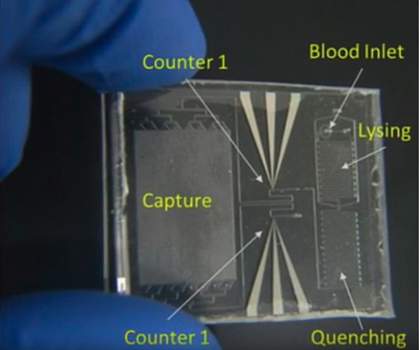 Image of the Point-of-Care Sepsis Stratification chip