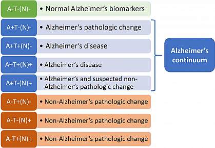 Alzheimer S Stages Chart