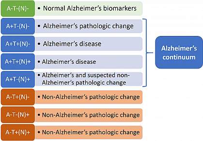 Table showing new Alzheimer’s framework