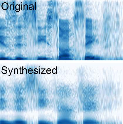 Image of brain-wave scan from the study