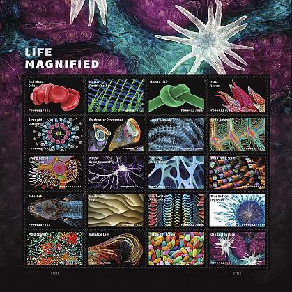 Image of he entire “Life Magnified” stamp panel.