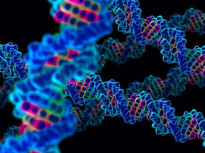 Illustration of DNA double helix