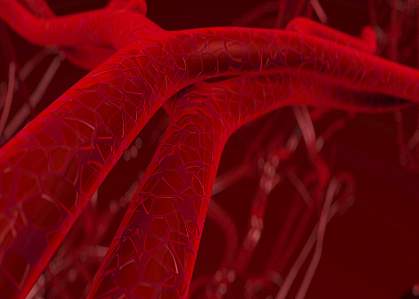 IStylized 3D illustration of blood vessels