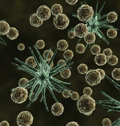 Computer rendered image of microscopic allergens