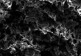 Photo of electron micrograph showing a sponge-like porous material