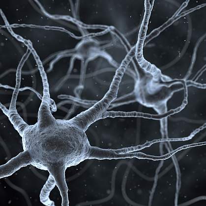 illustration of neurons