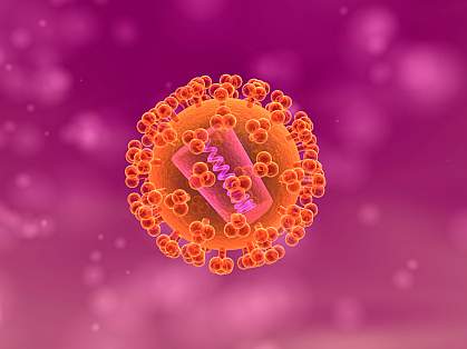 Illustration of round virus with blunt spikes