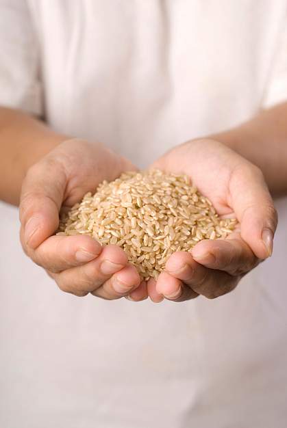 Photo of hands holding brown rice