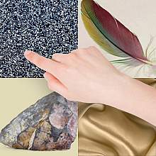 Image of a hand surrounded by items of different textures