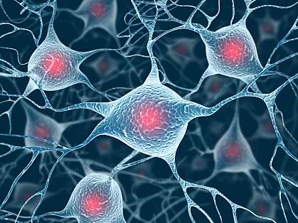 Illustration of nerve cells in brain