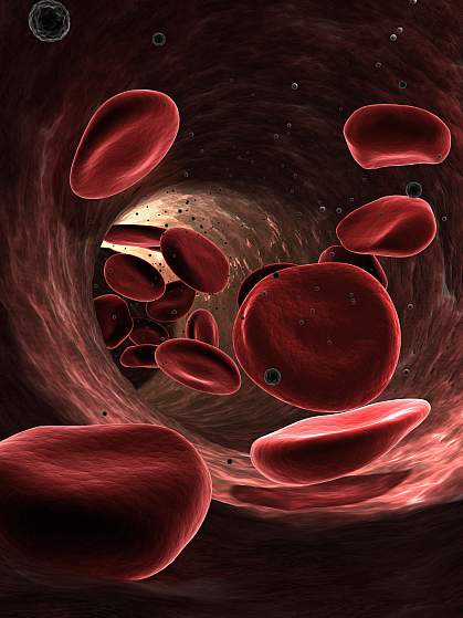 Illustration of red blood cells flowing through a blood vessel