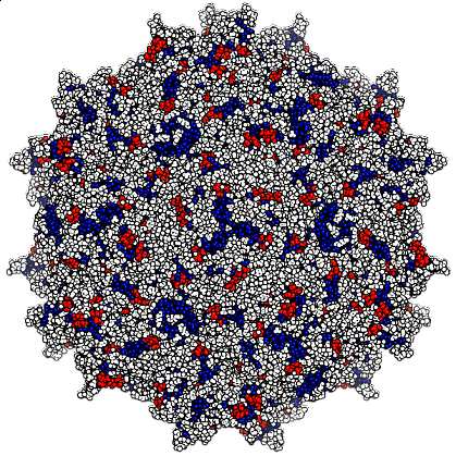 Illustration of a spherical virus 