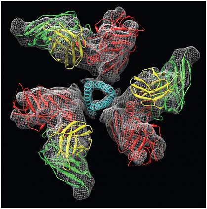 HIV envelope protein.